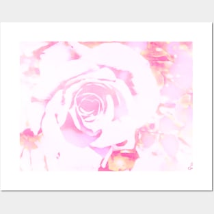 Blushing Pink Rose Abstract Posters and Art